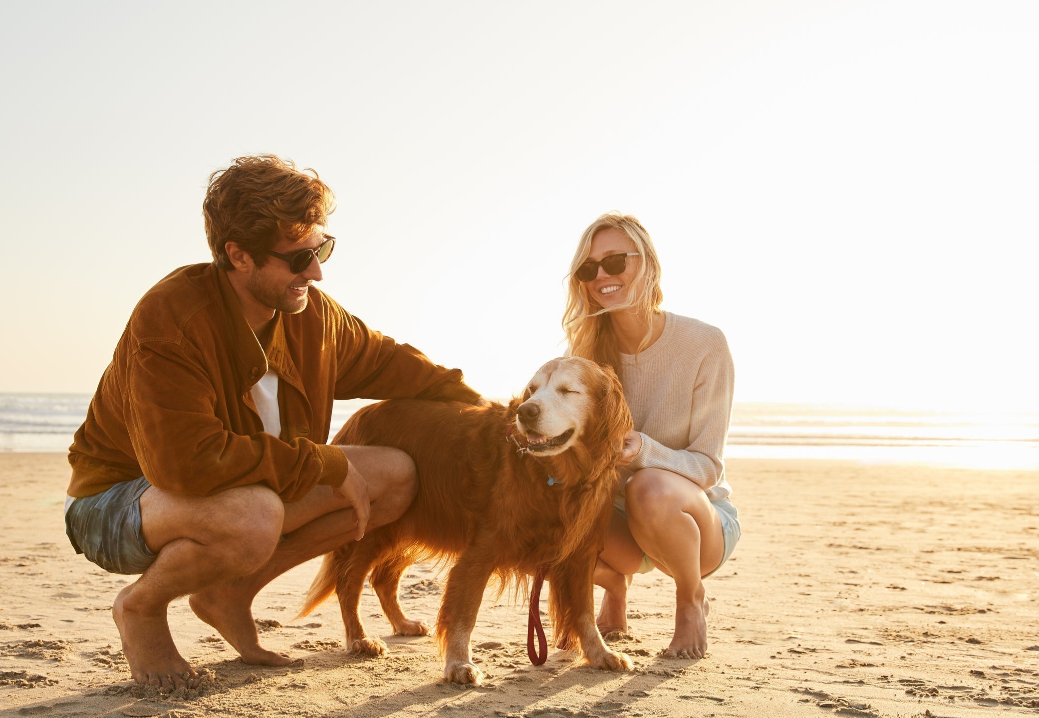 Couple on the beach with their dog.