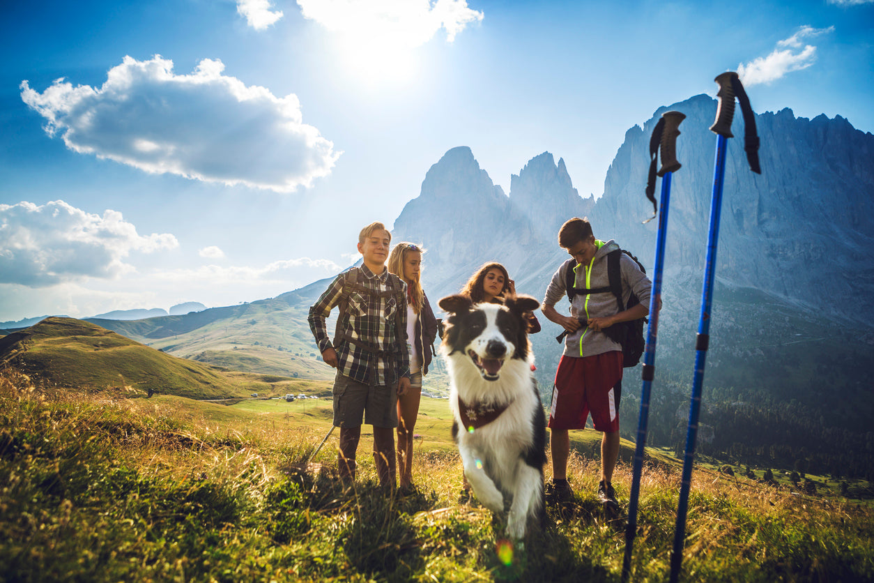 Backpacking or Hiking with Your Dog: The Ultimate Guide