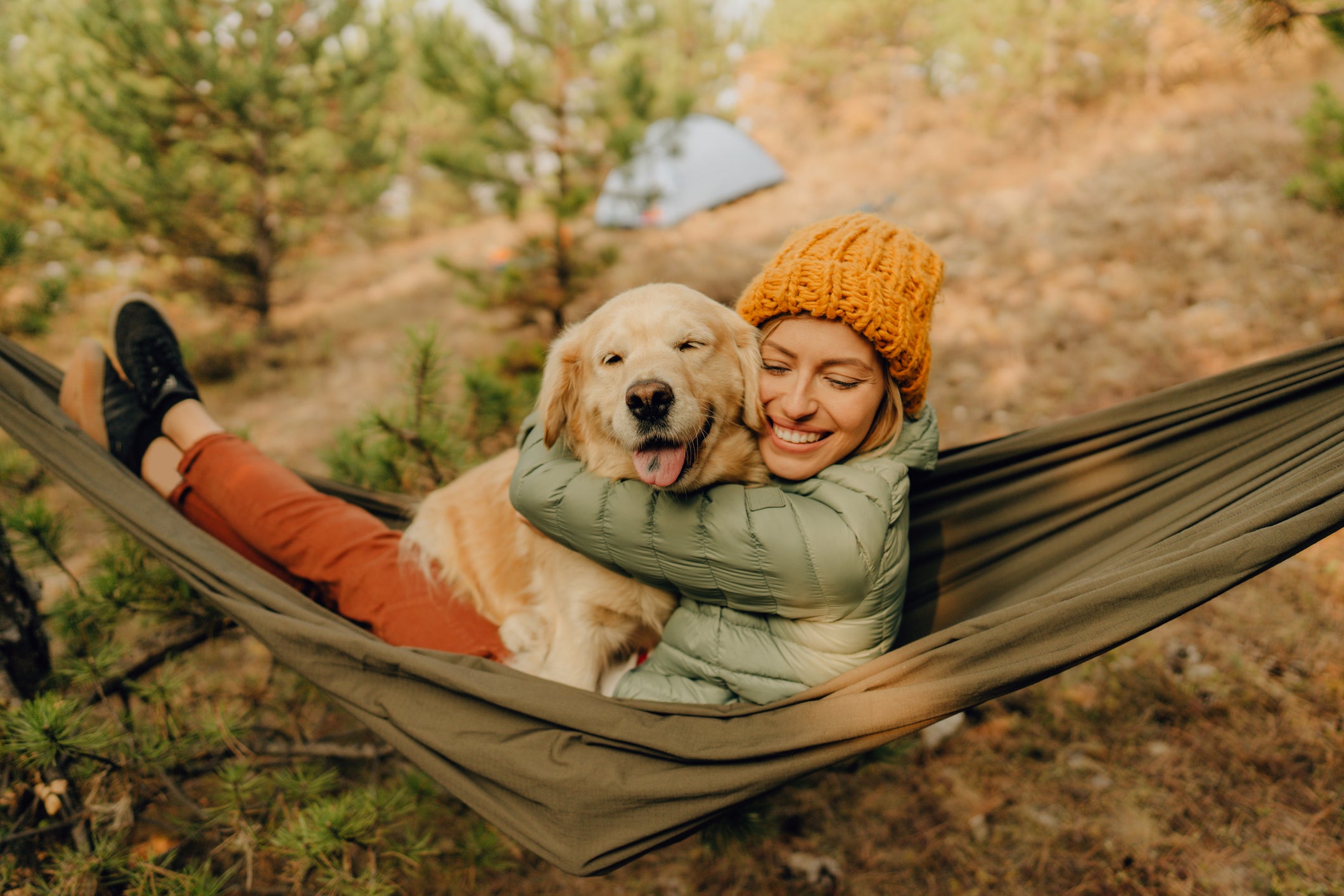 Camping With Dogs: A Guide