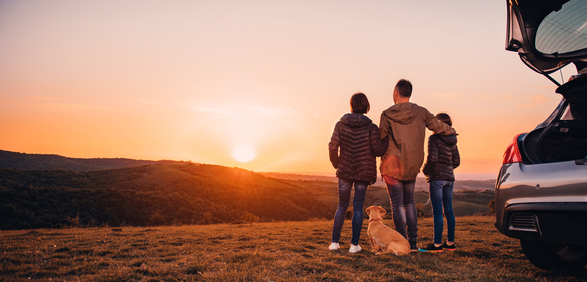 Tips to Enjoy Camping with Your Animal Companion