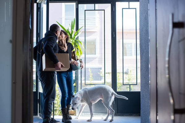 Here’s Why Your Dog Needs A Clean Environment