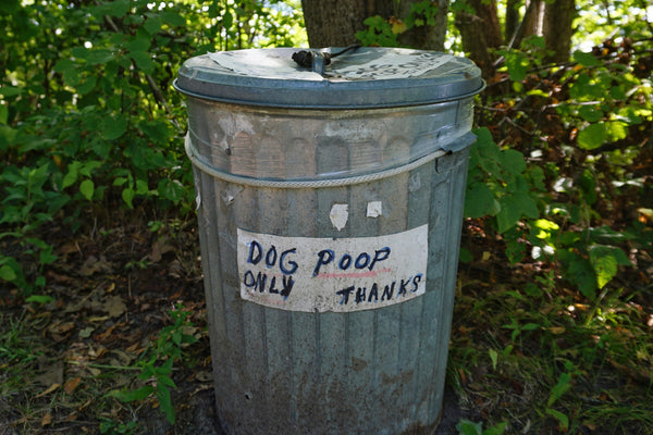 Cleaning Up after Your Dog Responsibly