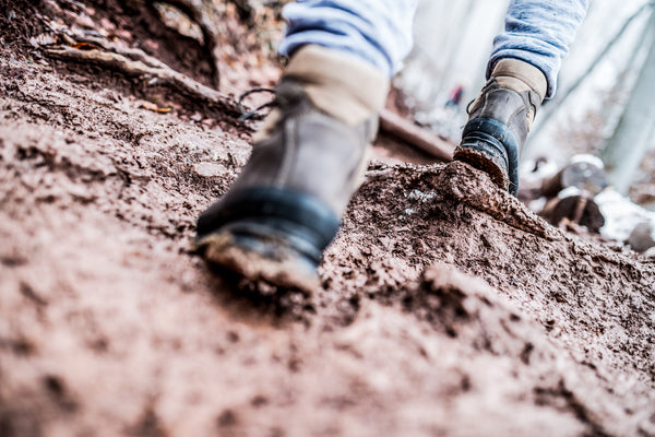 Hiking With Dogs: Common Trail Dangers to Look Out For