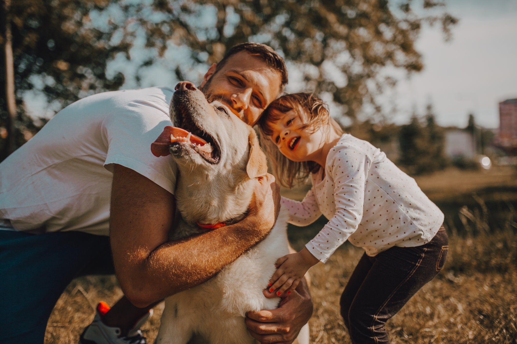 How to Train Your Dog for a Day at the Park