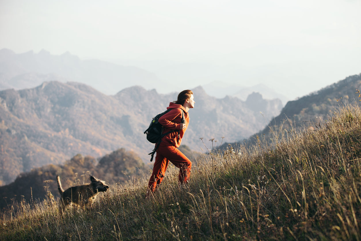 Top Tips to Consider When Treating Your Dog to A Day of Hiking