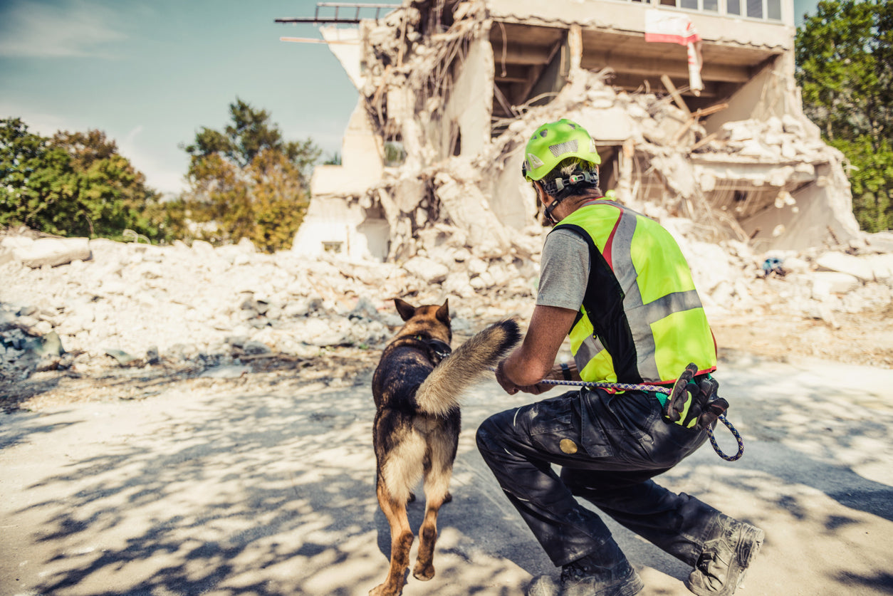Dogs: The World's Unsung Heroes