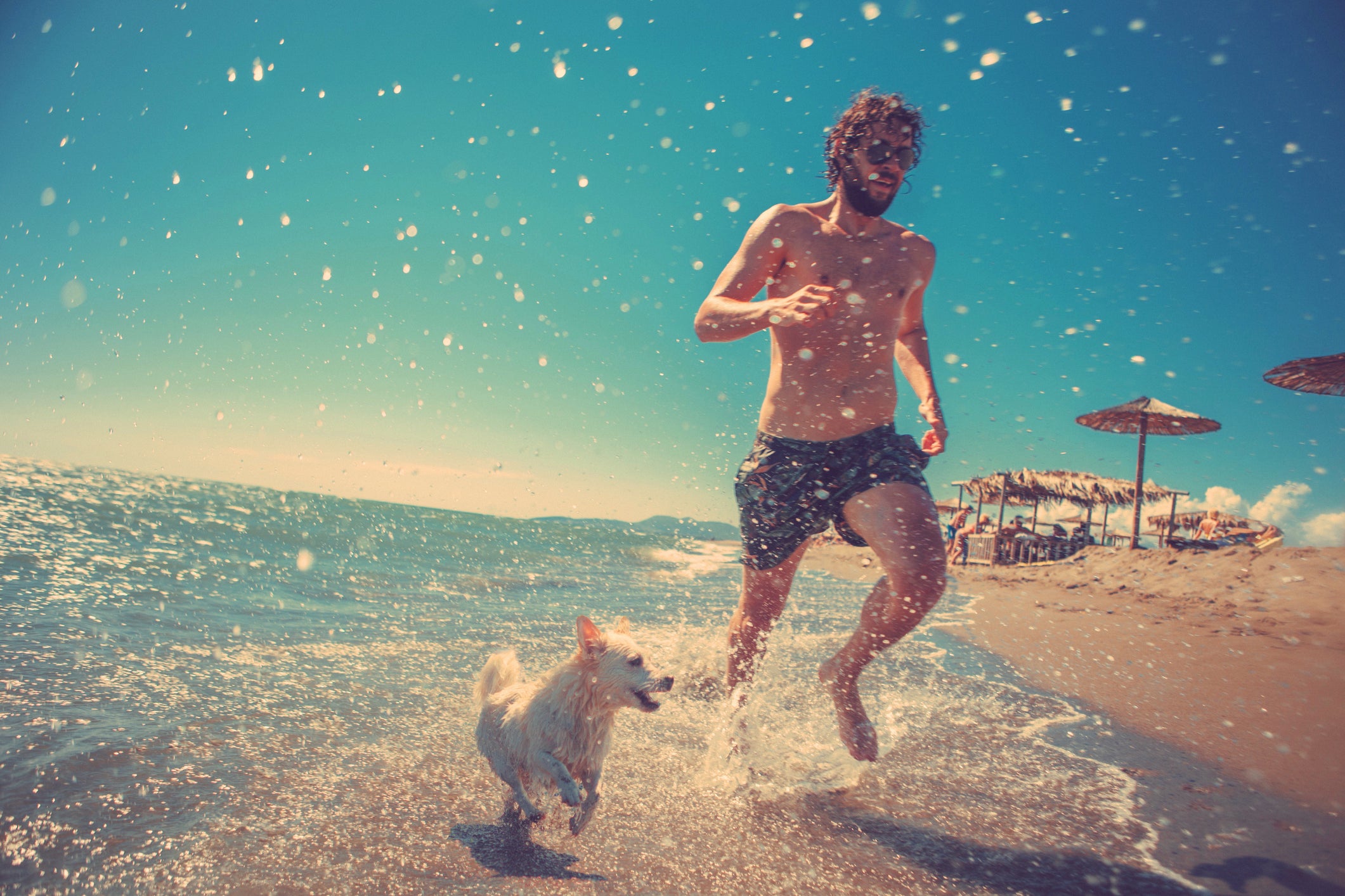 A Dog Owner's Guide to an Environmentally Friendly Beach Day