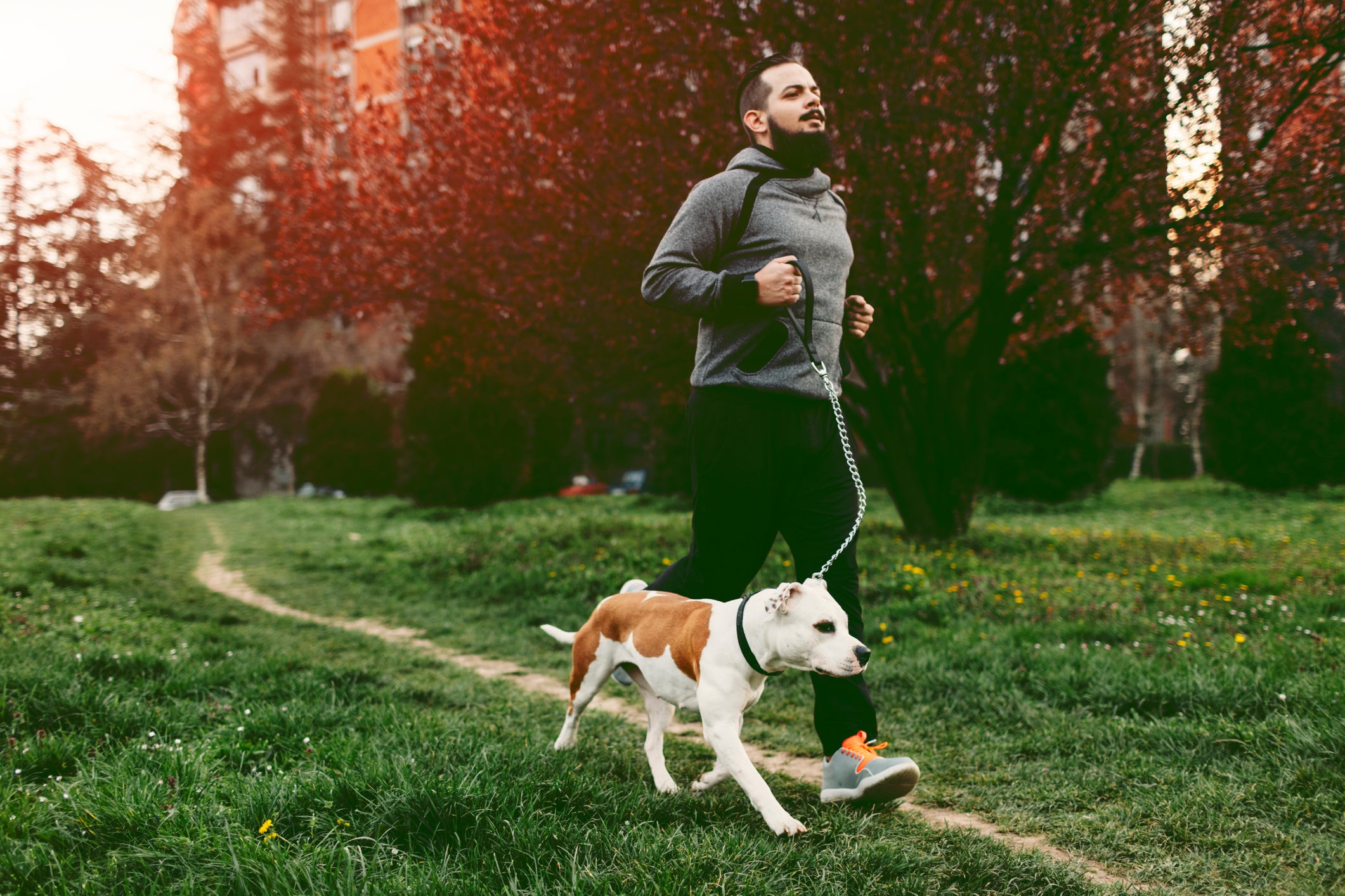 7 Ways to Exercise With Your Dog