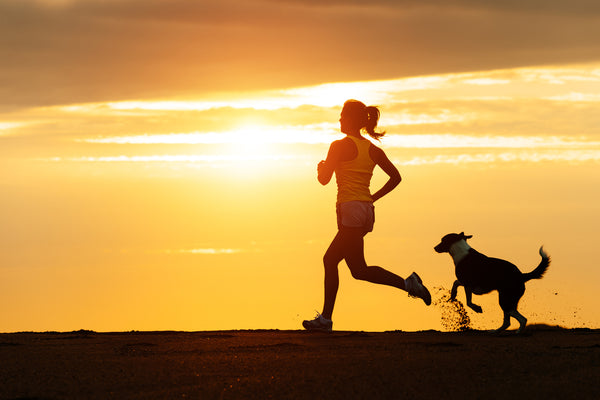 Ways in Which Your Dog is Keeping You Fit and Healthy