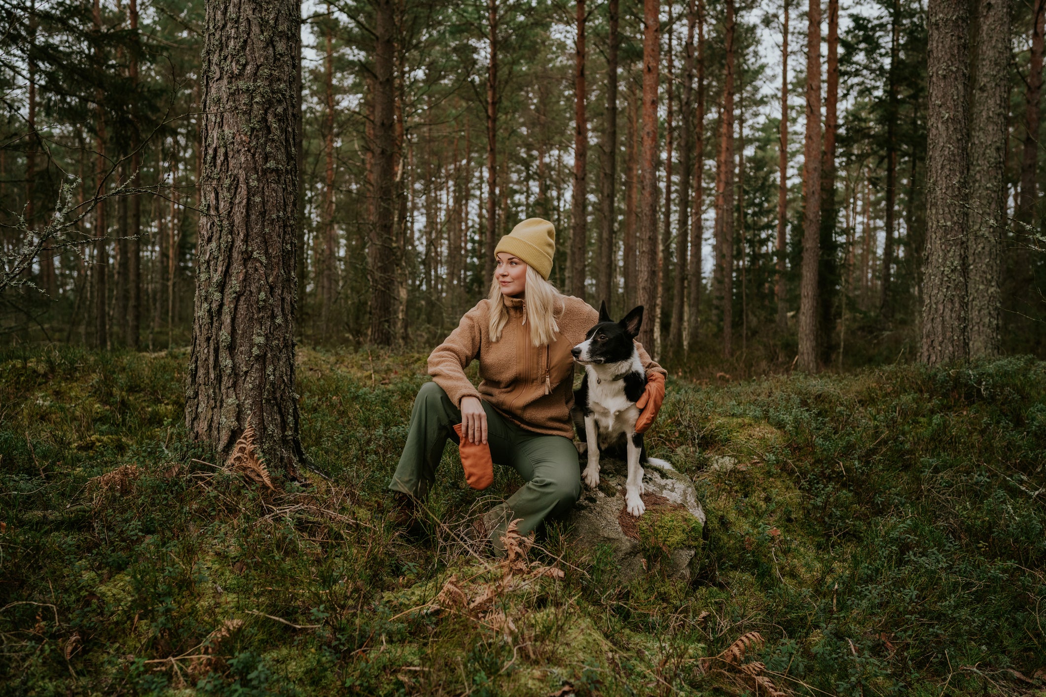 Pre and Post Hiking Care for Dogs