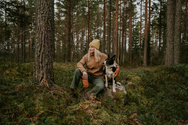 Pre and Post Hiking Care for Dogs