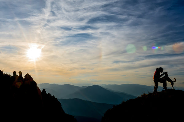 7 Basic Tips to Enjoy a Day of Hiking With Your Dog