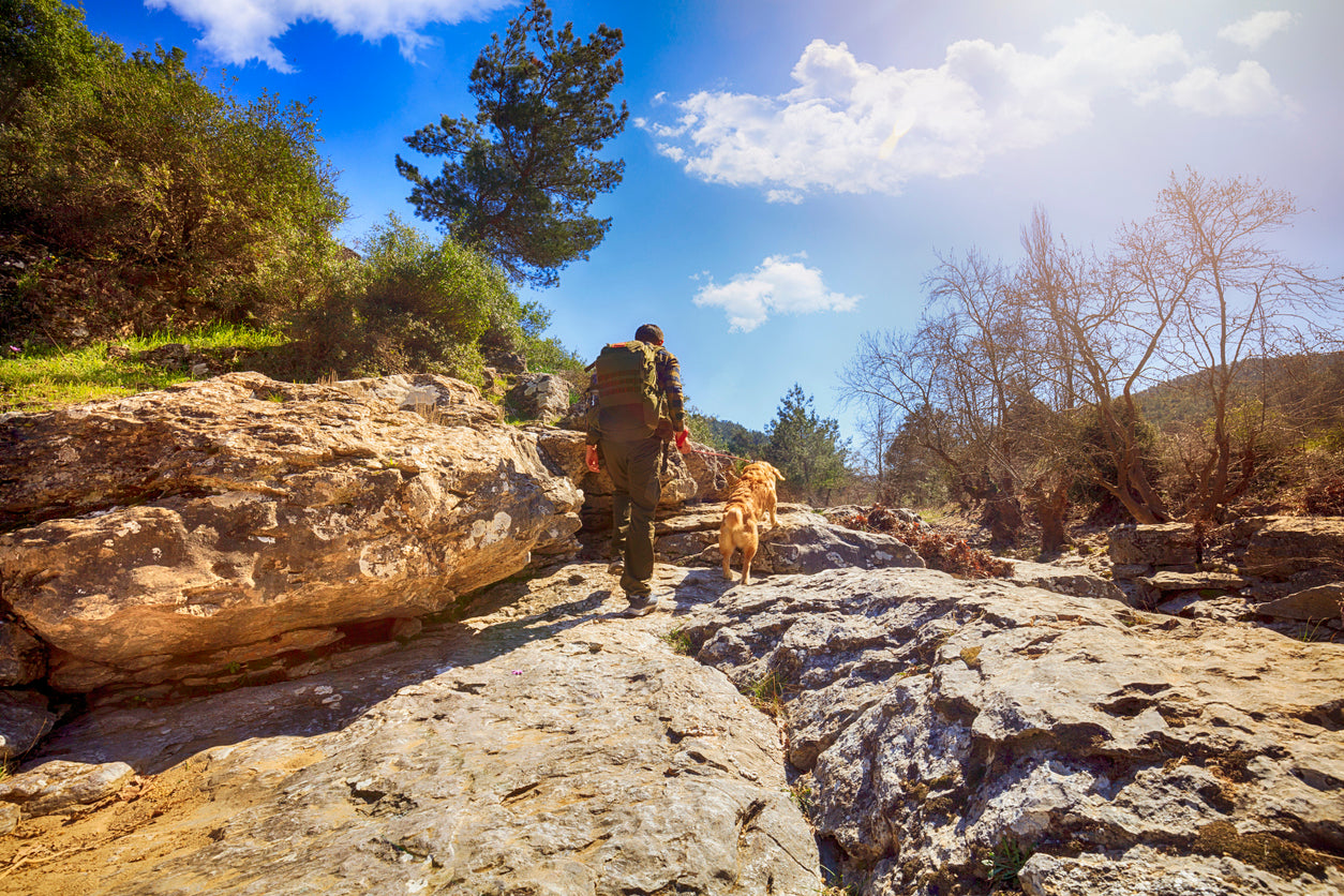 Hiking with your Dogs for a Cause