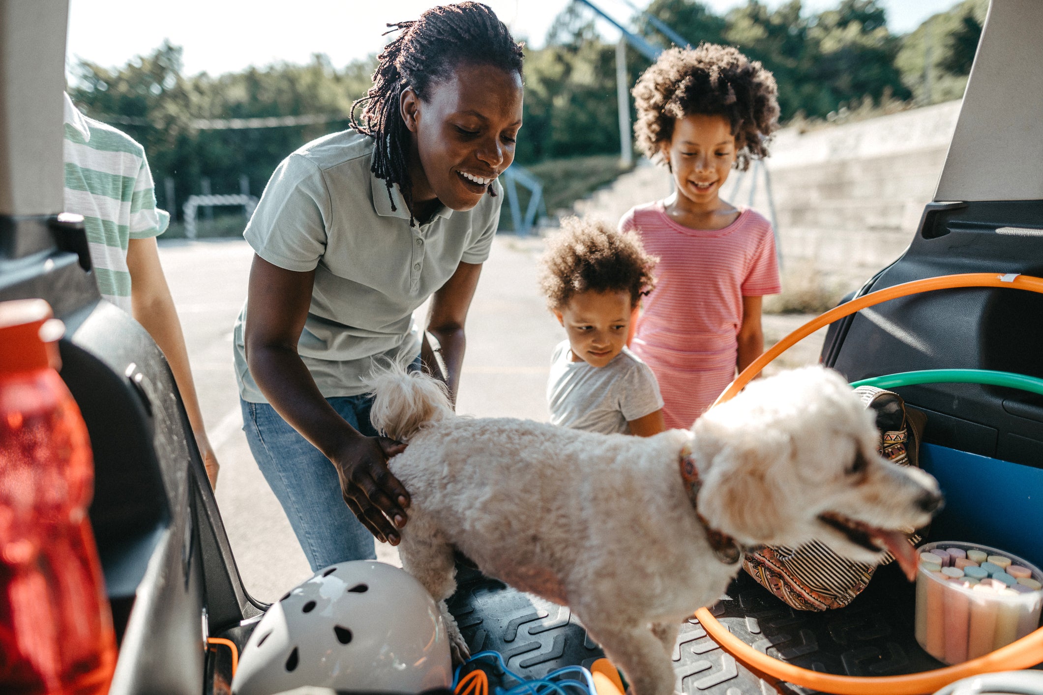How To Travel With Dogs