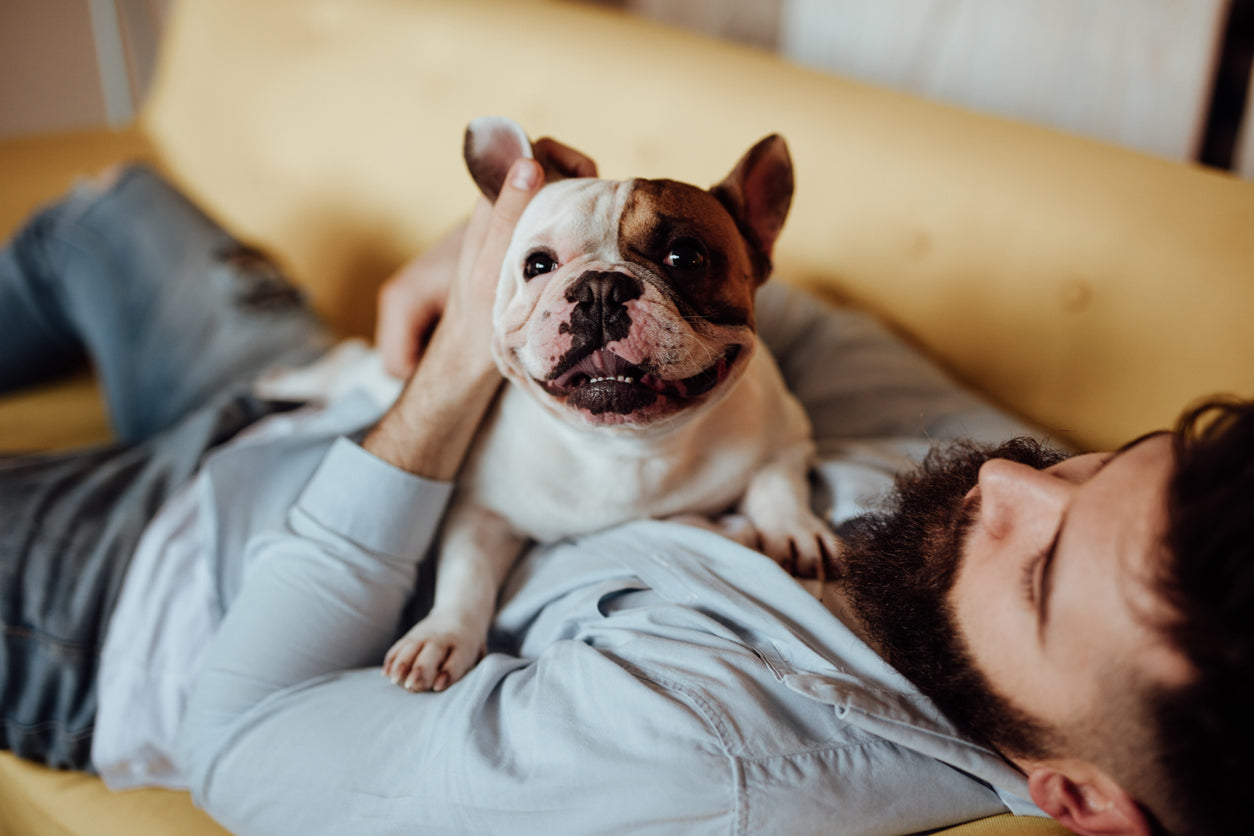 What can dogs teach you about the world?