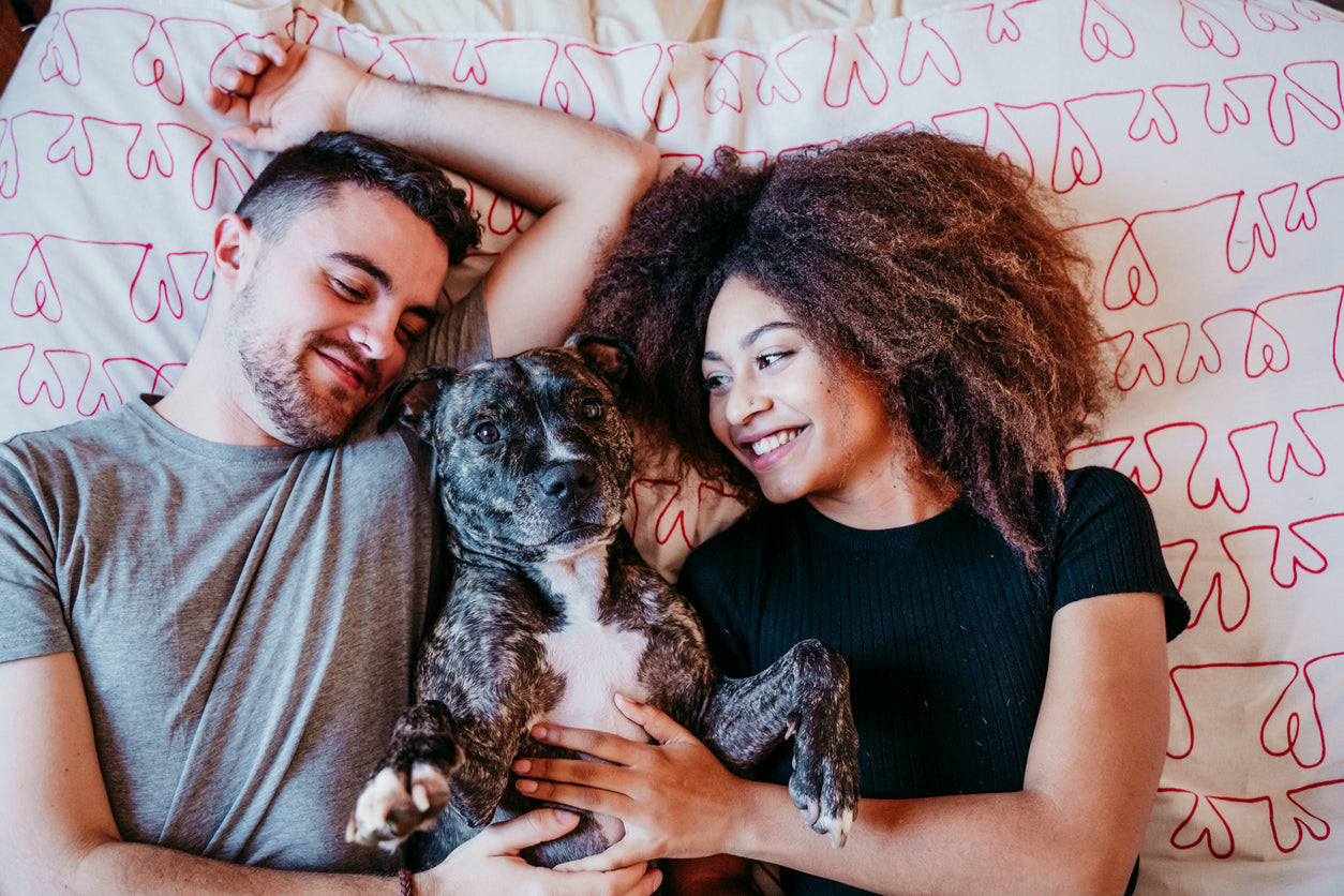 How Man’s Best Friend Is Saving the World
