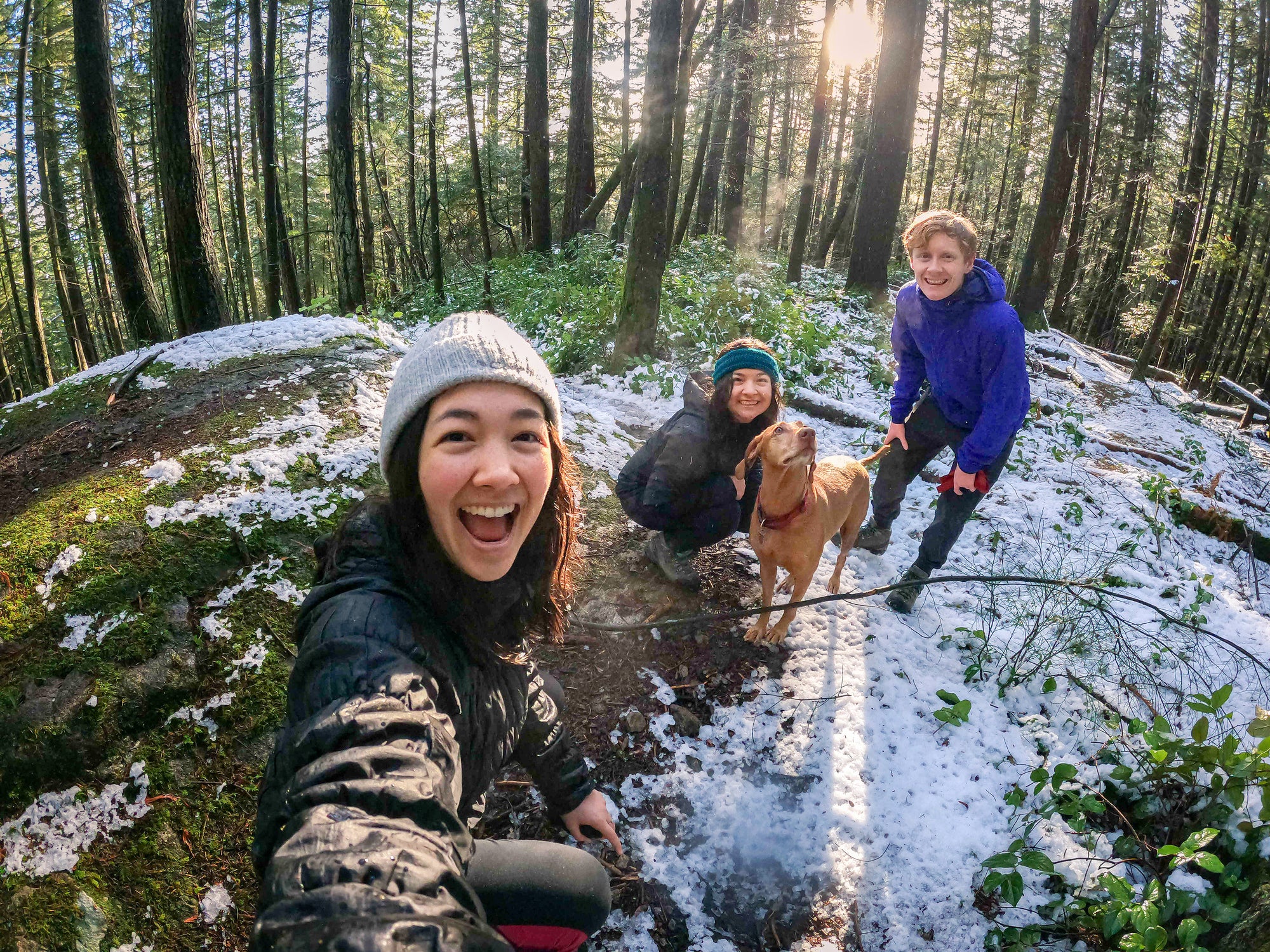 5 Safety Tips For Hiking With Your Dog