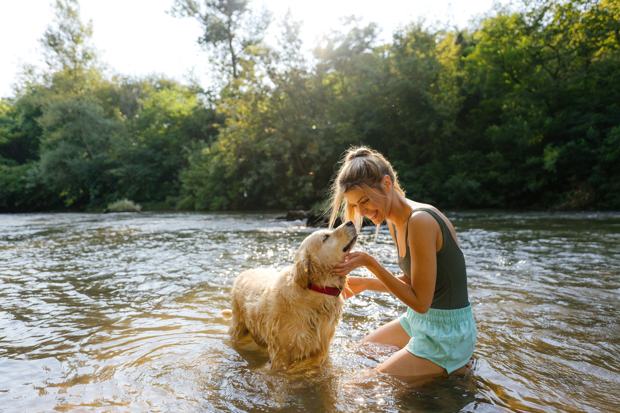 Things to Consider Before Taking Your Dog Swimming