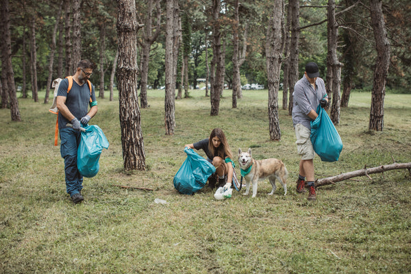 How to Train Your Dog to Pick Up Plastic Trash