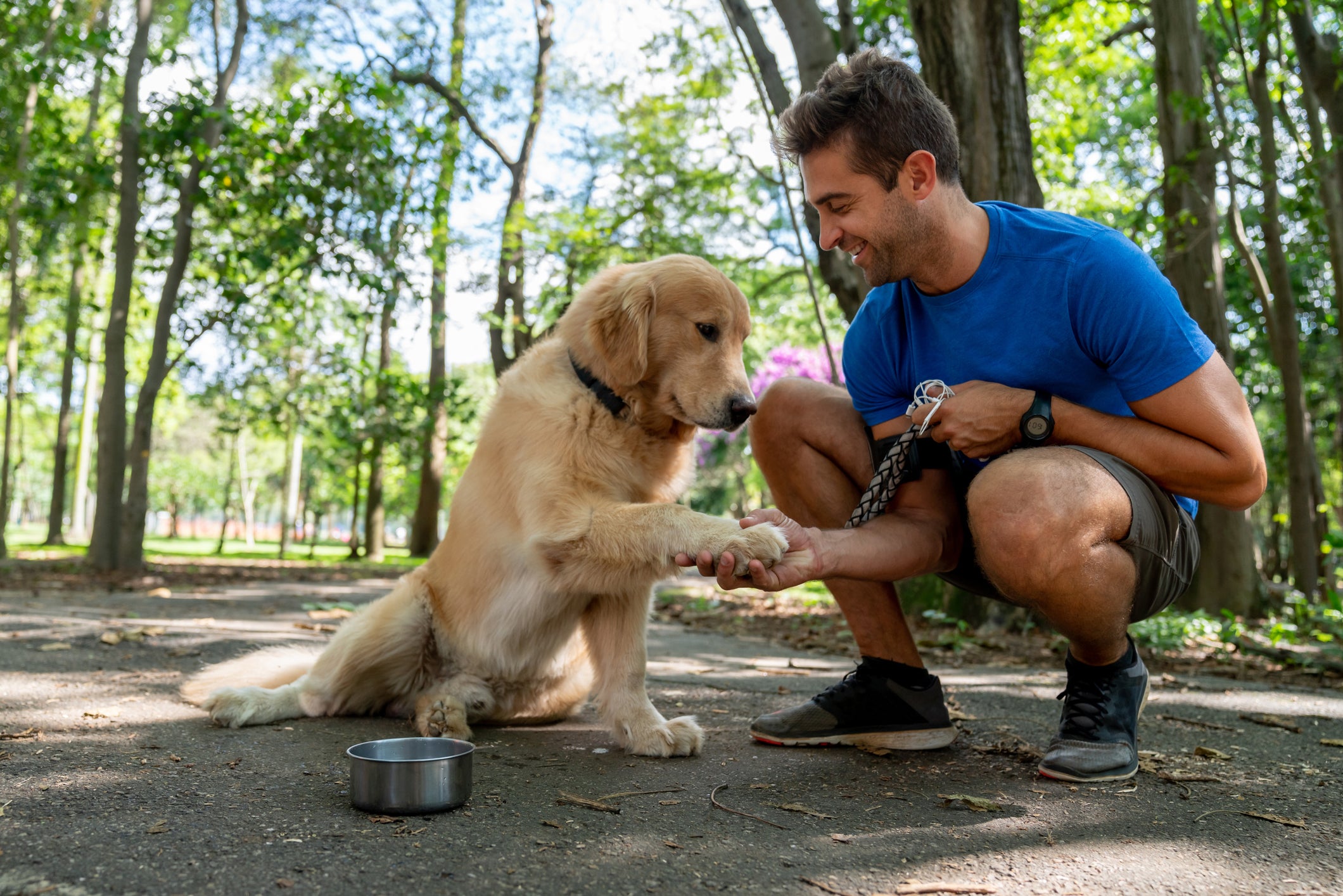 How to Train Your Dog For an Outdoor Hiking Trip