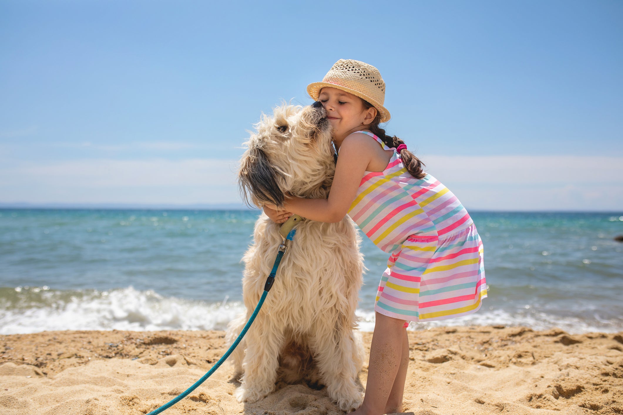 Unclean Beaches: How Are They Hazardous to Dogs?
