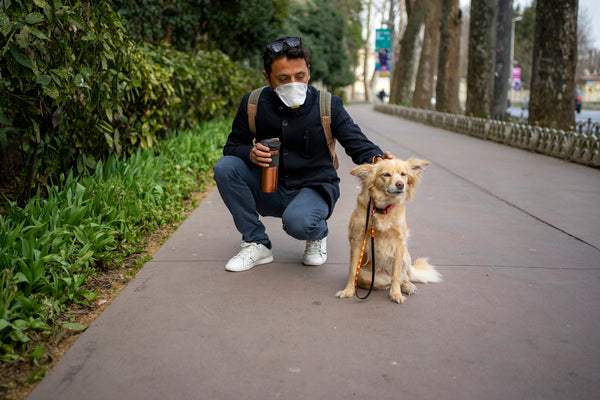 Best Places to Walk Your Dog