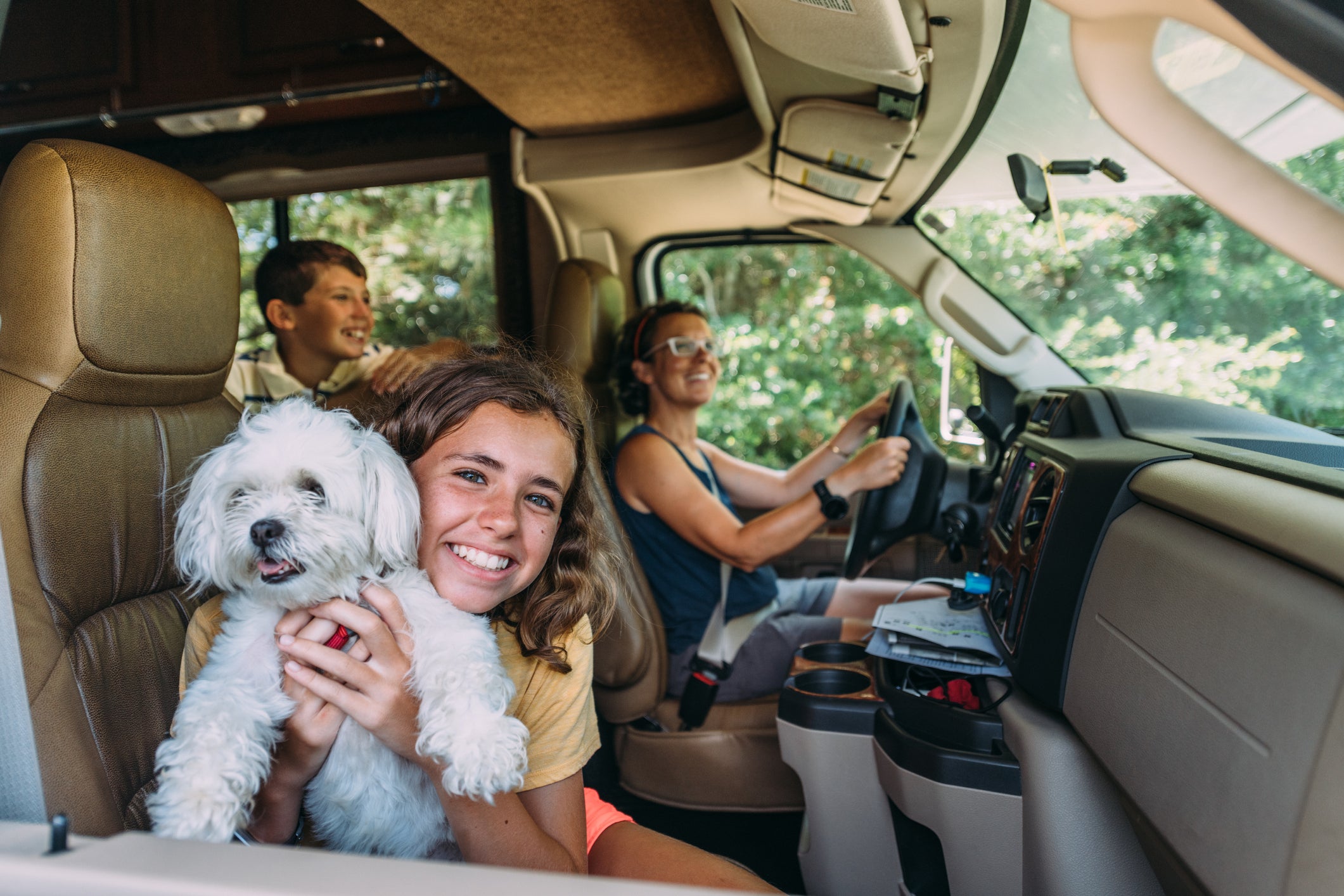 What To Pack When Camping With Dogs