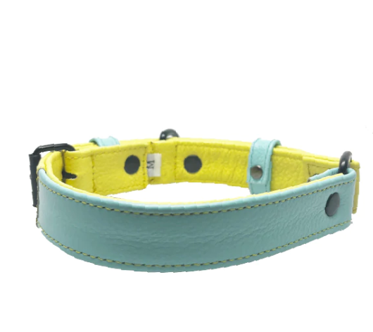 Baby Blue Lemon Leather Dog Collar