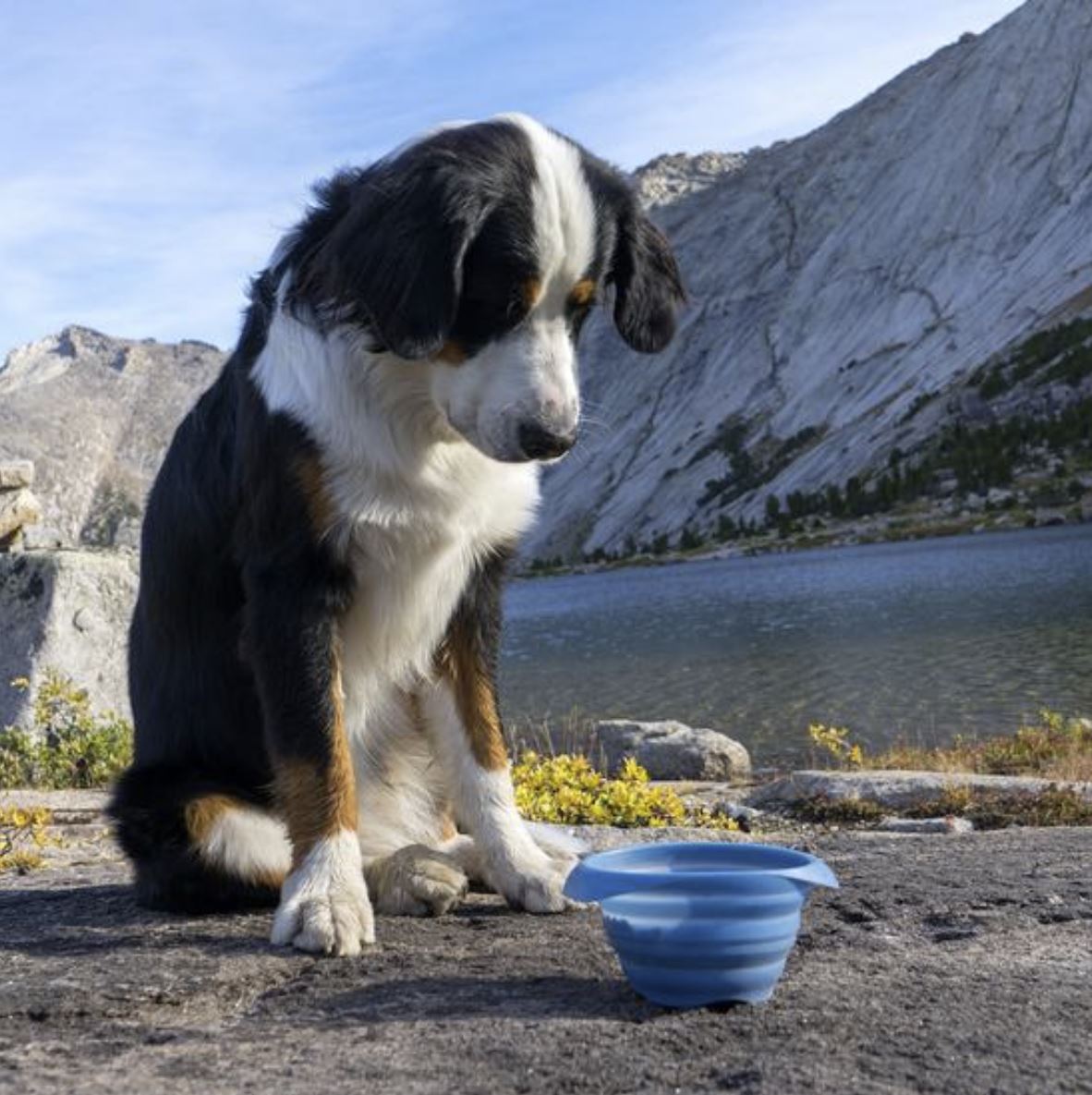 Collaps A Bowl