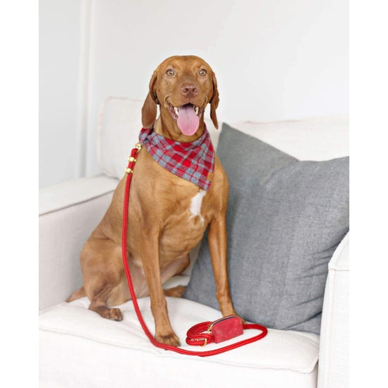 Dover Plaid Flannel Dog Bandana