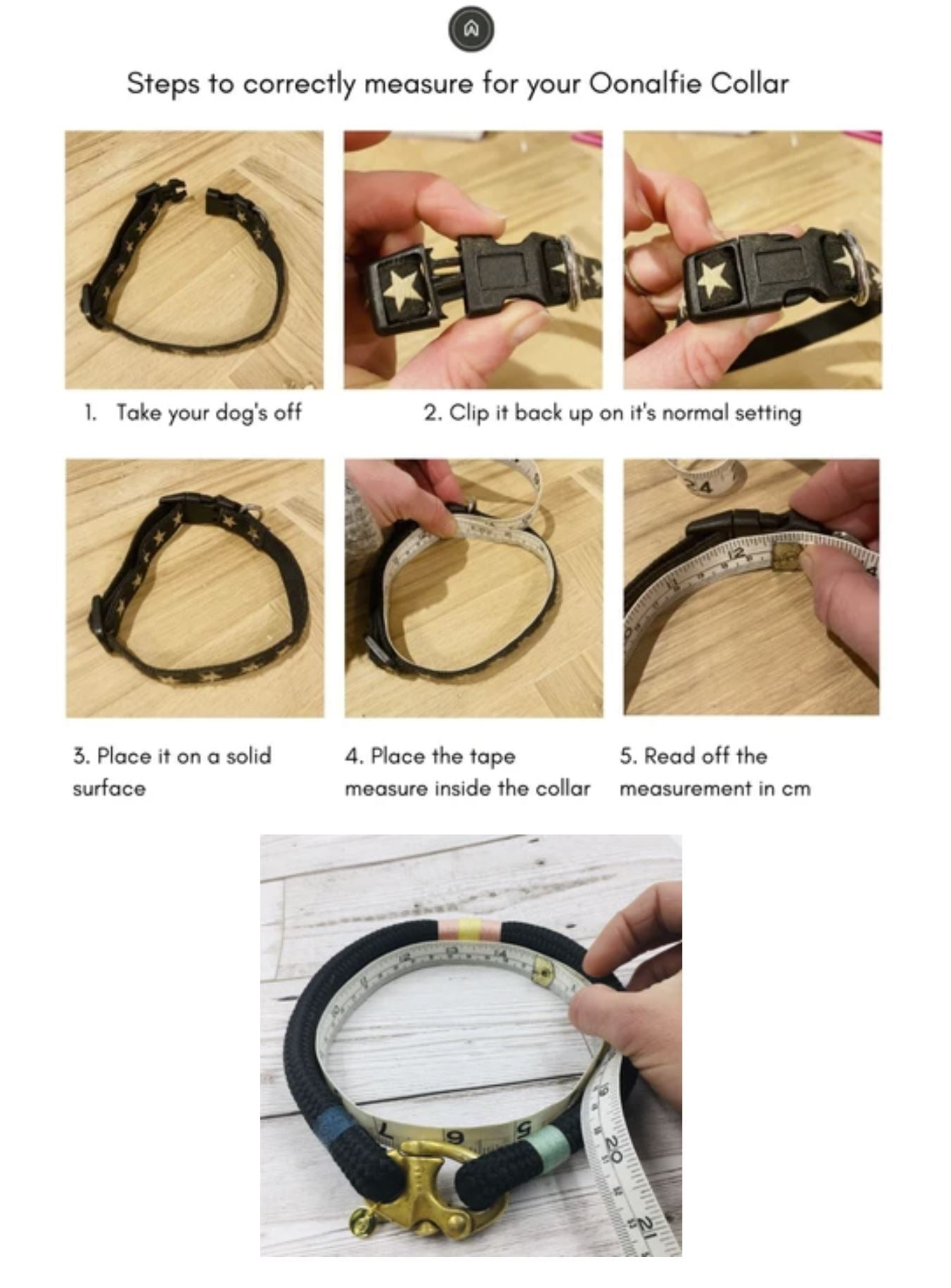 Classic Rope Dog Collar – African Safari