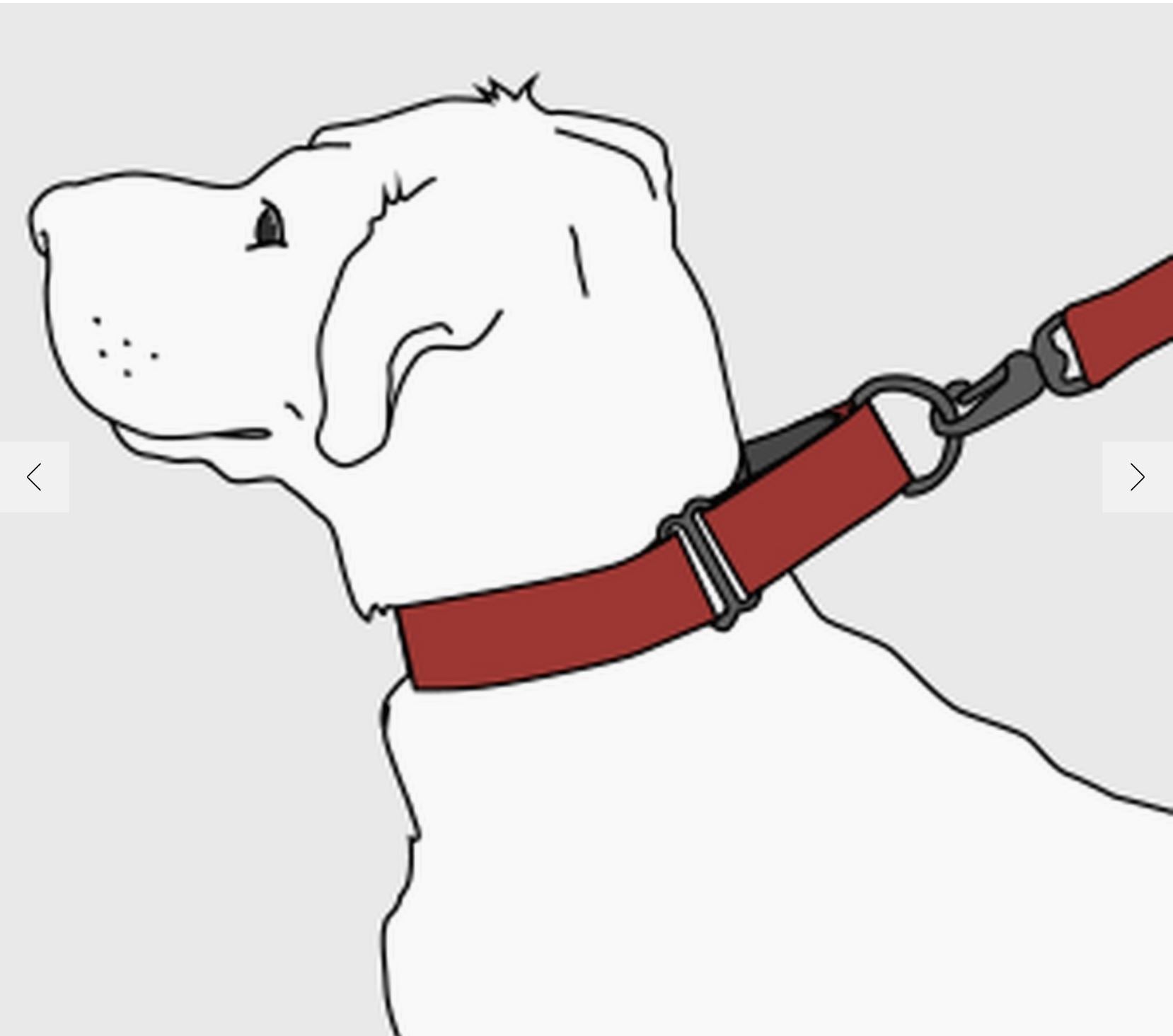 Humble Hearts Extra Wide Martingale Dog Collar