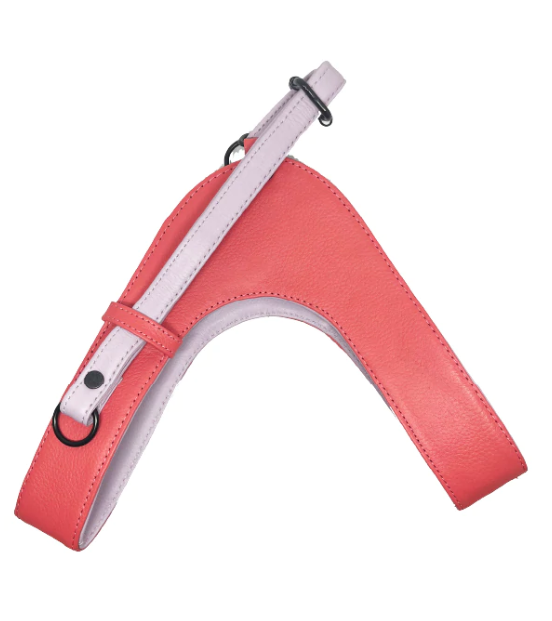 Watermelon Lilac Dog Harness