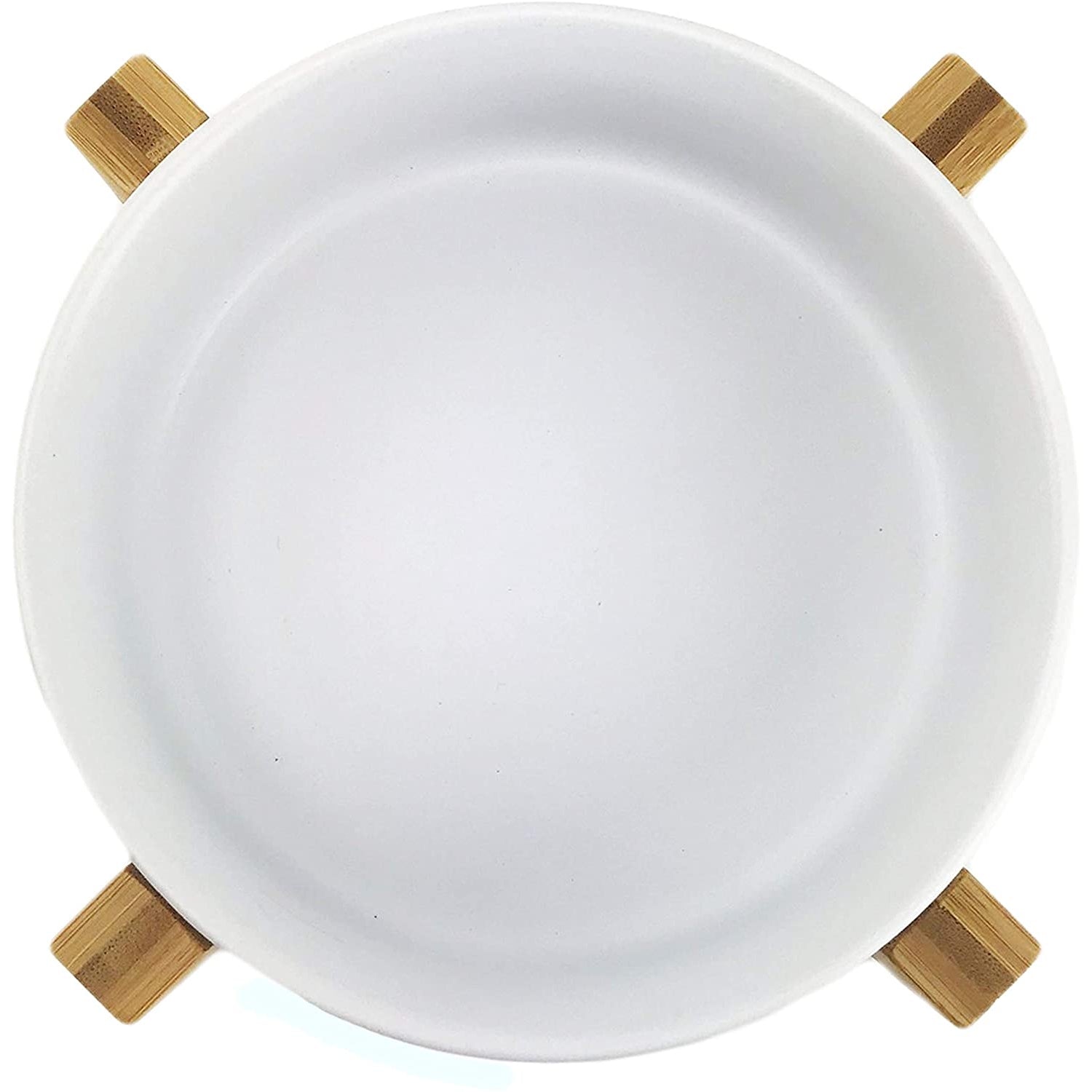 Modern Raised Dog Bowl on Stand