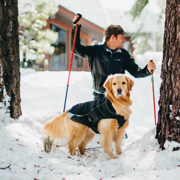 North Country Dog Coat