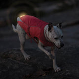 North Country Dog Coat