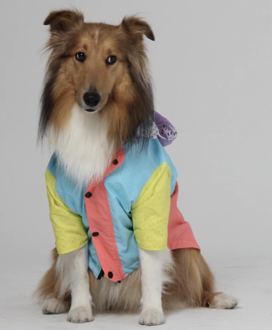 Pastel Dog Raincoat