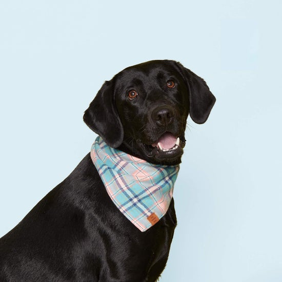 Pastel Plaid Flannel Dog Bandana