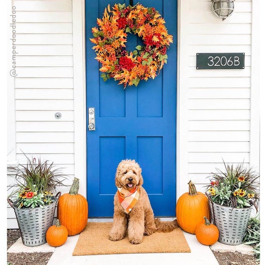 Pumpkin Spice Flannel Dog Bandana
