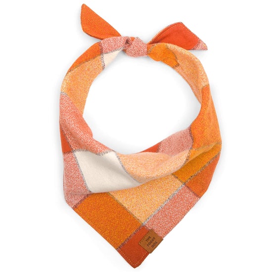 Pumpkin Spice Flannel Dog Bandana