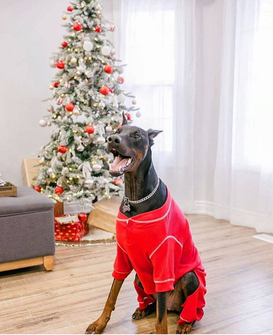 Red Thermal Dog Pajamas