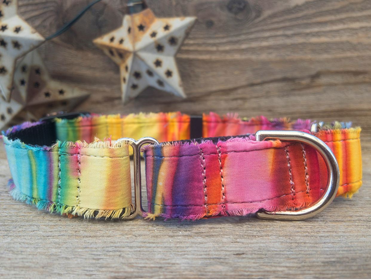 Sunset Shimmer Medium Width Martingale Dog Collar