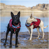 Surf N Turf Red Dog Life Jacket