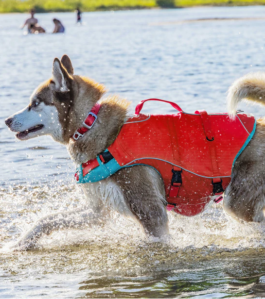 Surf N Turf Red Dog Life Jacket
