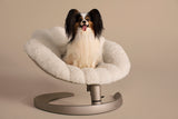 Shell Pet Bed and Swaying Lounger