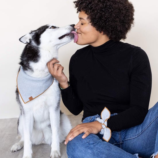 Upcycled Denim Dog Bandana