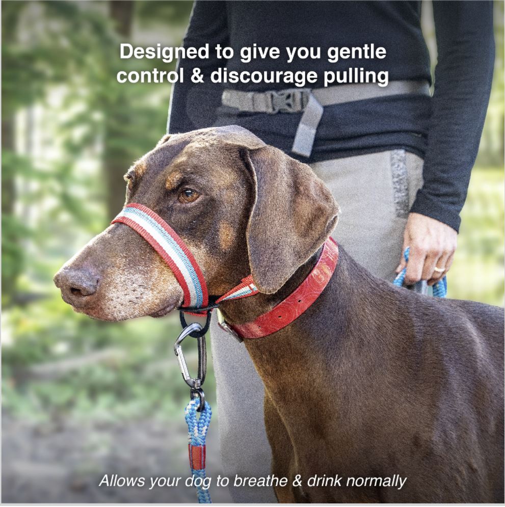 Walk About Head Halter