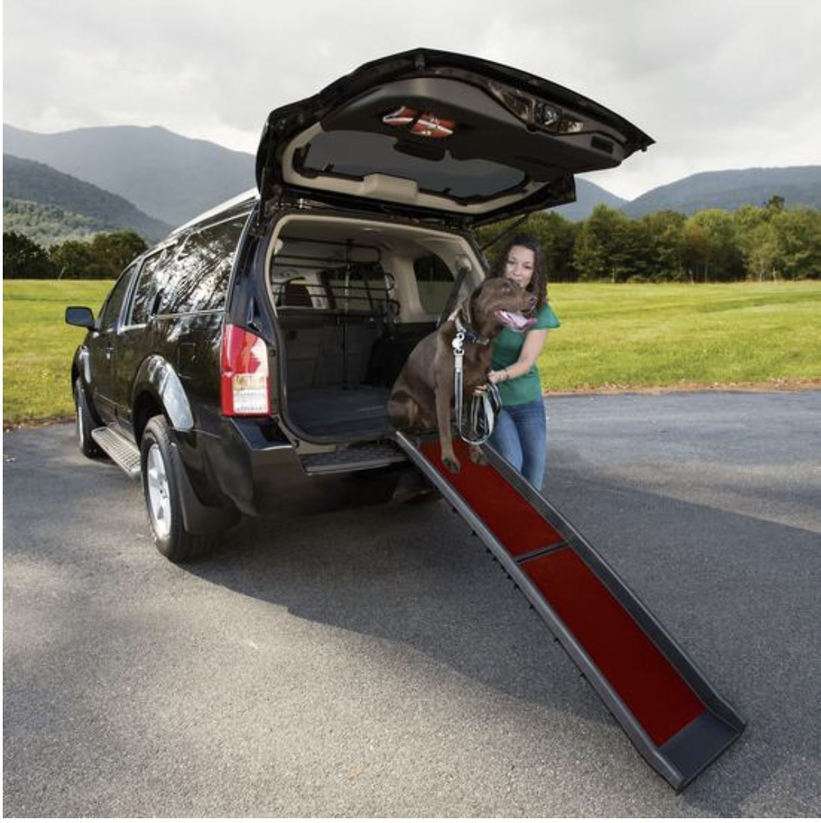 Wander Dog Ramp