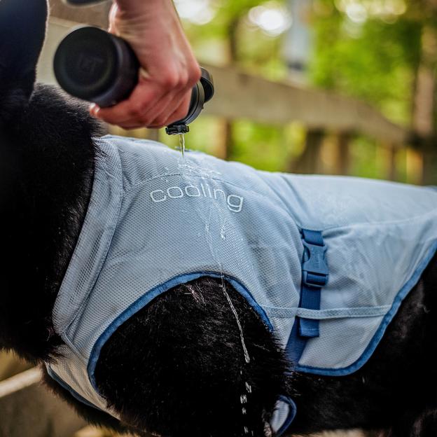 Core Cooling Dog Vest