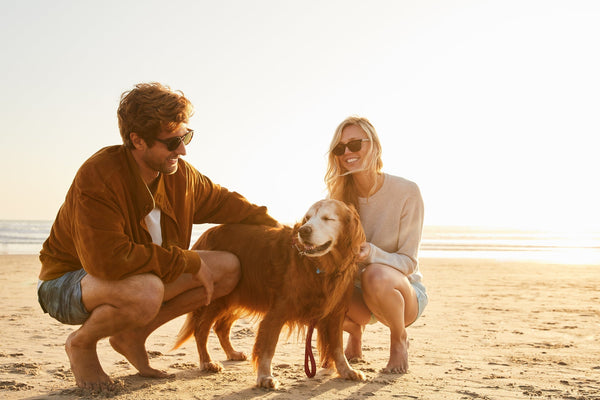 Couple on the beach with their dog.